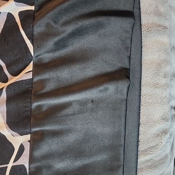 Express Dress - Picture 3 of 3